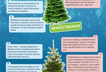 Photo of История литых ёлок