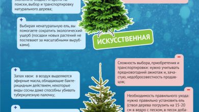 Photo of История литых ёлок