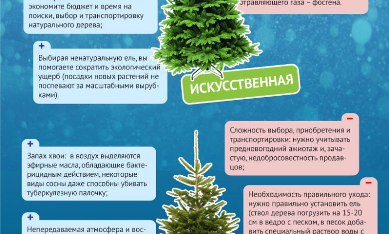 Photo of История литых ёлок